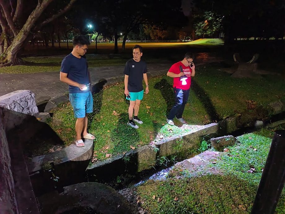 持续干旱水位剧降植物枯死 太平湖西湖露出湖床