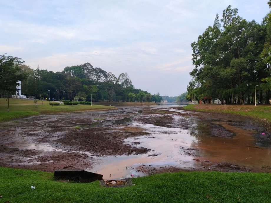 持续干旱水位剧降植物枯死 太平湖西湖露出湖床