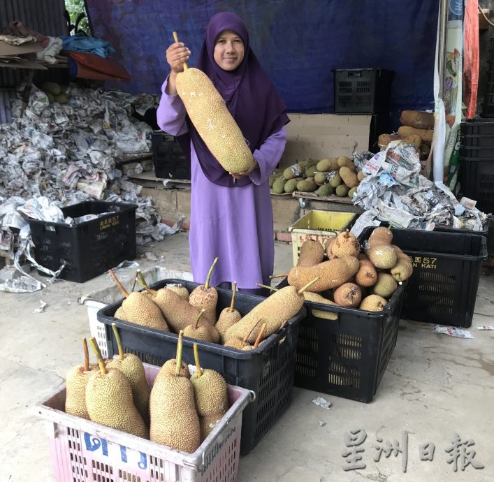 撞上檳州同時上市 江沙尖不叻豐收有口福