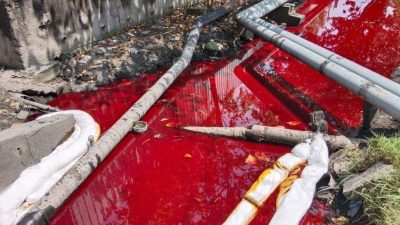 棕櫚廠軟管破裂外洩 “血流成河” 嚇壞民眾