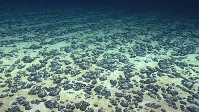 海底4000公尺驚現“暗氧” 顛覆科學認知