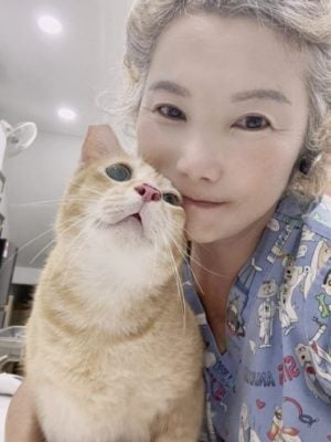 猫猫狗狗化身捐血小英雄，为爱献血拯救生命