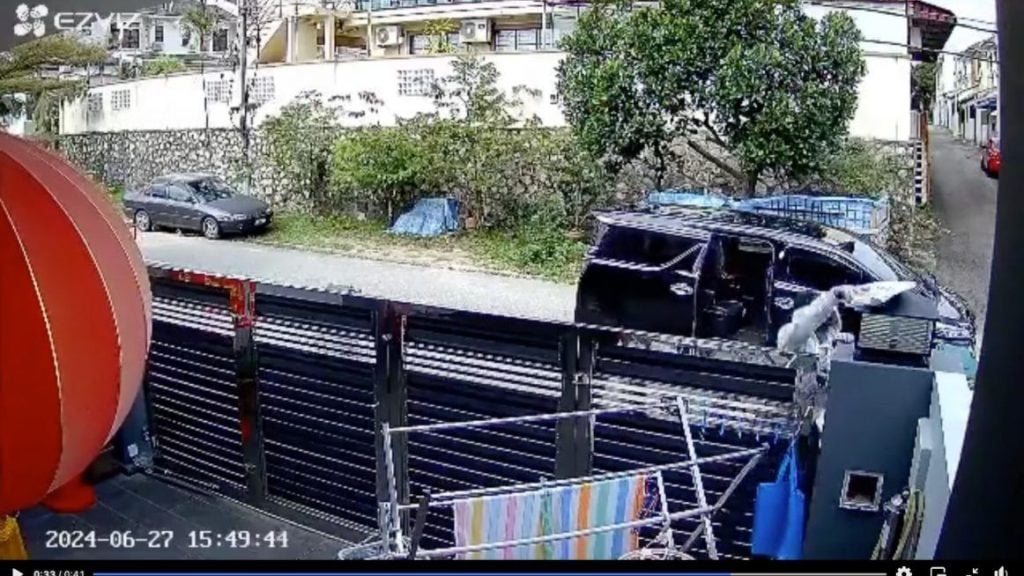 视频 | 驾豪车偷快递包裹  警方证实开档调查