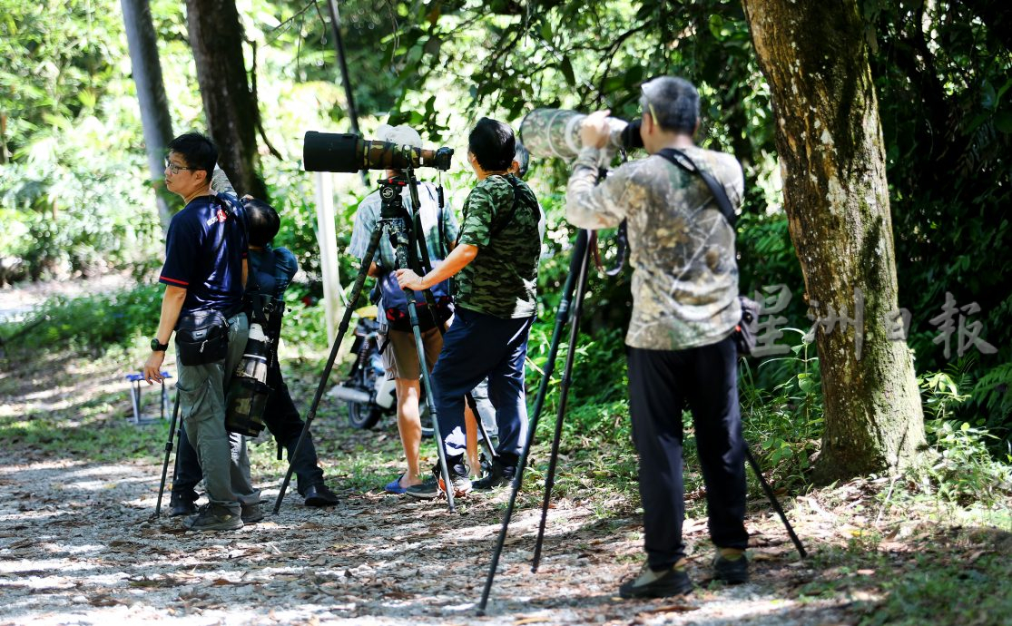 【半岛心旅行】／邂逅拉律山 赴一场洗涤心灵之旅