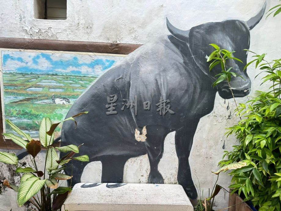 （古城封面主文）古里街后巷堆杂物及涂鸦 威胁行人安全留负面印象