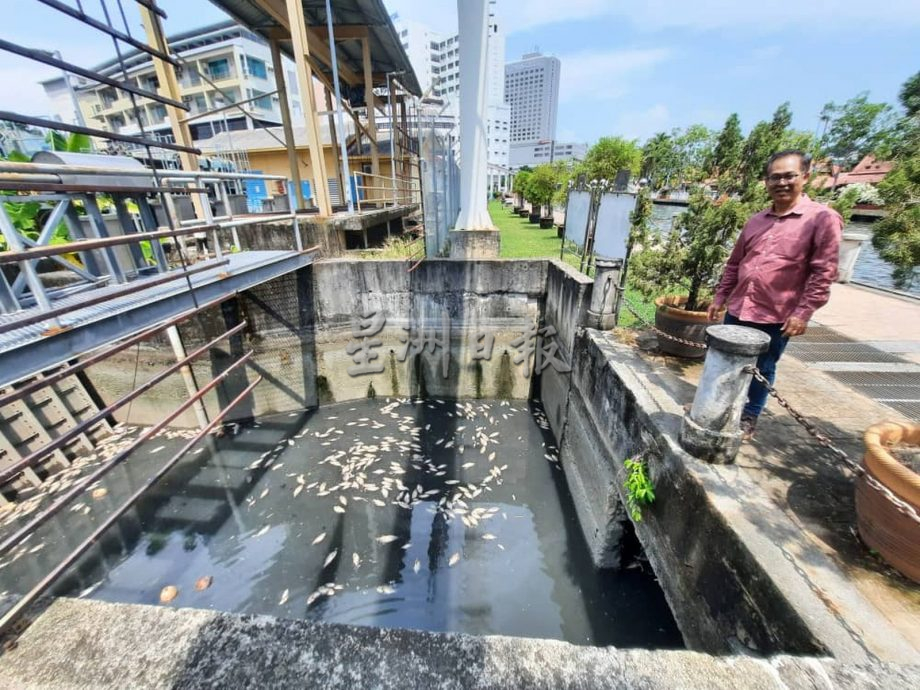 （古城封面主文）濾水站內滿是死魚，臭氣沖天