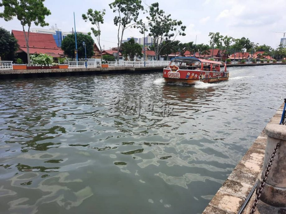 （古城封面主文）濾水站內滿是死魚，臭氣沖天