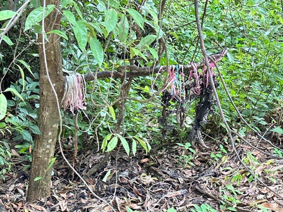 （古城封面主文）熊山增打卡点宣传马六甲旅游业