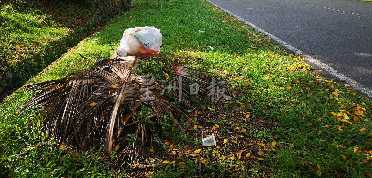 （古城封面主文）非法丢垃圾问题没完没了 执法官躲一旁“驻守”准备当场捉“垃圾虫也无效