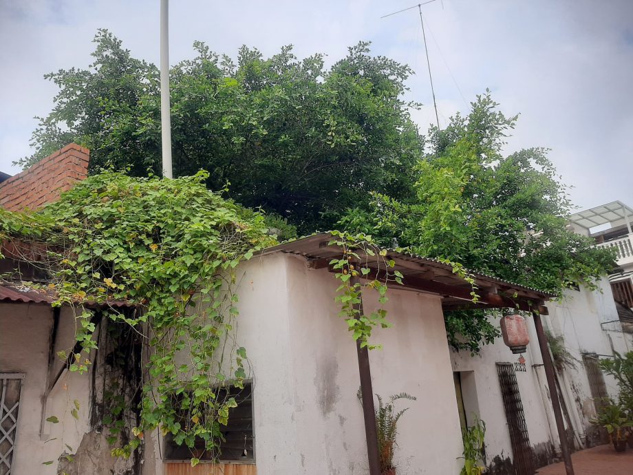 （古城封面副文）世遗老街区有20间荒屋 陈劲源促市厅加强执法管制荒屋问题