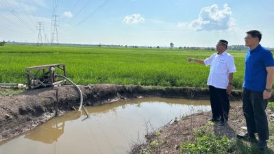 林万锋：缓解干旱农田缺水   3地点应先设临时抽水站