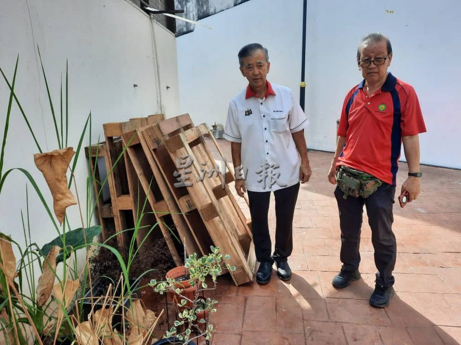 （古城第三版主文）杂物堆后巷，花盆内满是孑孓