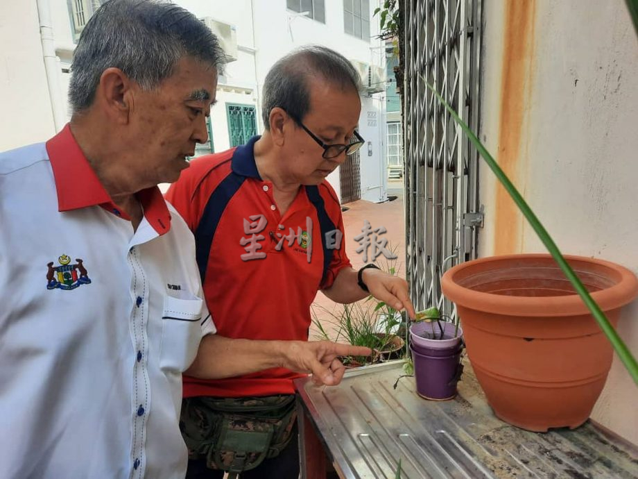 （古城第三版主文）杂物堆后巷，花盆内满是孑孓