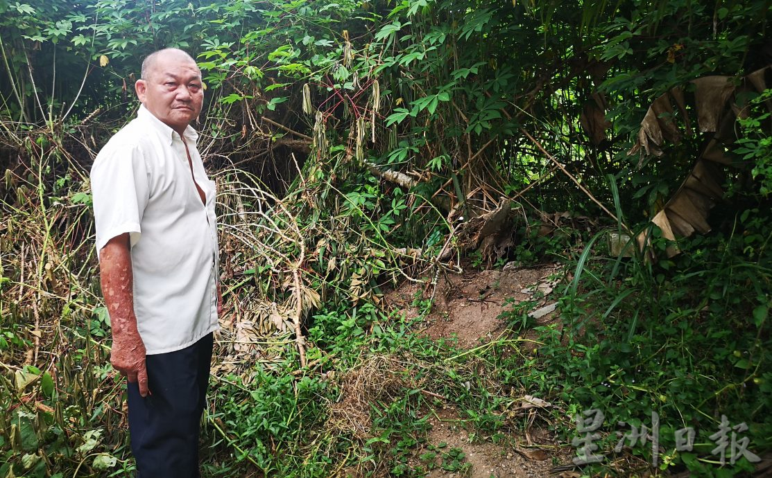 （古城第二版主文）“水果贼”横行阿依沙叻新村 