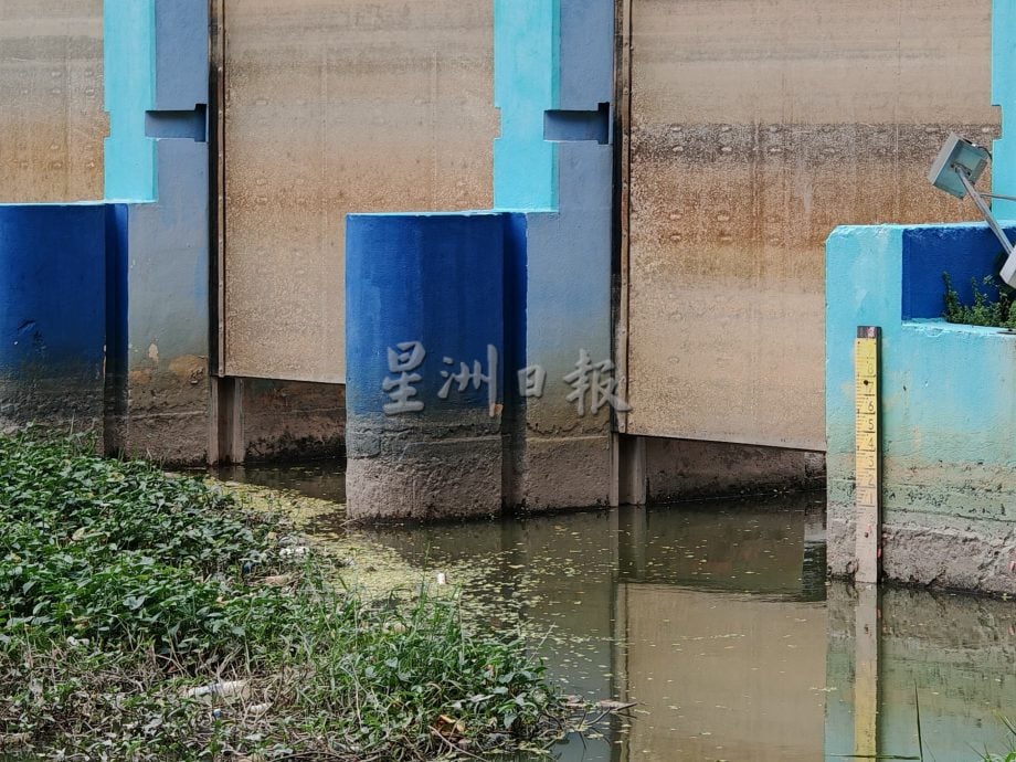 （古城第二版主文）水閘門堆滿水生植物，市議員呼籲除了定期清理也應不時檢查河面