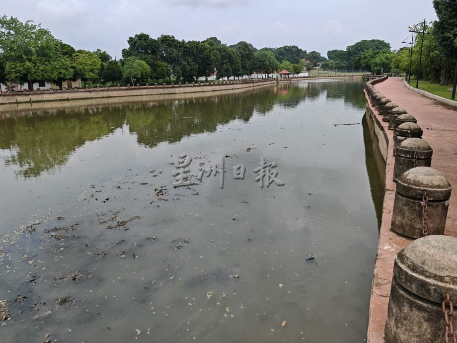 （古城第二版主文）水闸门堆满水生植物，市议员呼吁除了定期清理也应不时检查河面