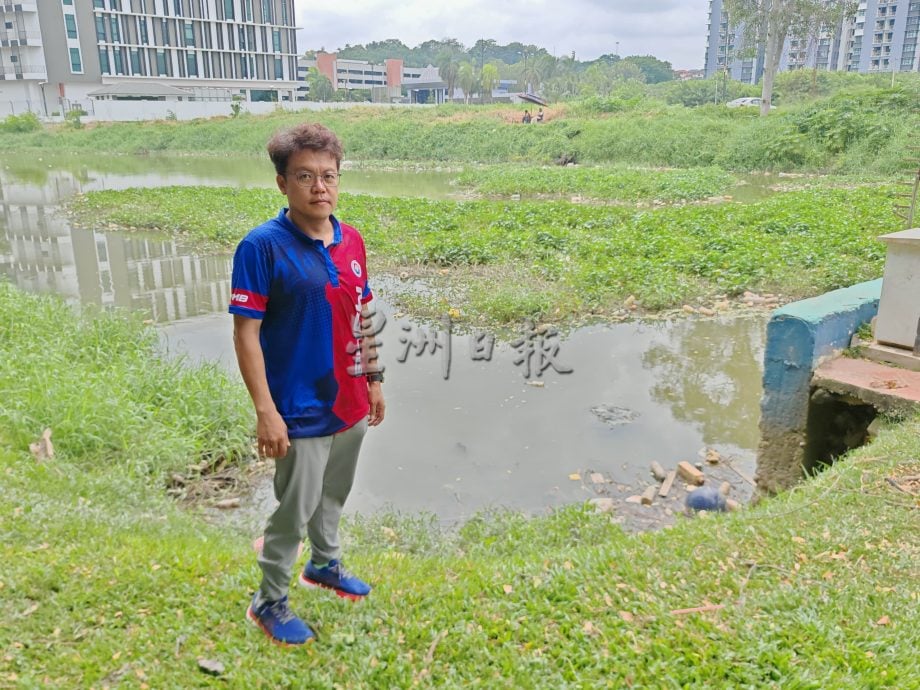 （古城第二版主文）水闸门堆满水生植物，市议员呼吁除了定期清理也应不时检查河面