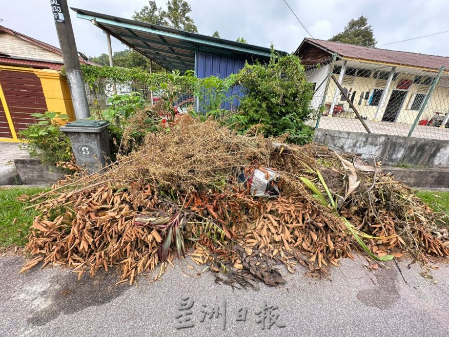 （古城第二版主文）蚊症節節上升2人死 鄧永森改生活習慣促勿堆積垃圾