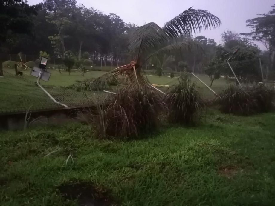 （已签发）柔：**封面**二度凌晨遭野象闯入 关怀福利中心燃枝叶驱赶