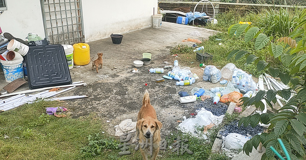 （已签发）柔：**封面**民生特工队：古来新村E区骨痛热症攀升 居民受促清理“垃圾屋”