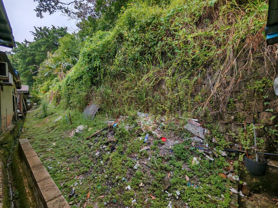 （已签发）柔：民生特工队：峇伏龙山庄山坡“危树”，威胁逾百户居民安全