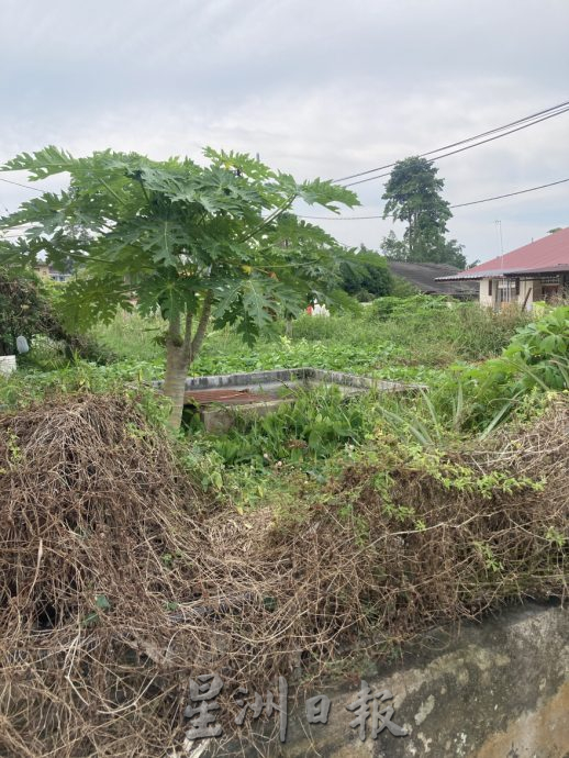 （已簽發）柔：民生特工隊：拉美士逾20住宅廢置 長滿野草嚴重擾民