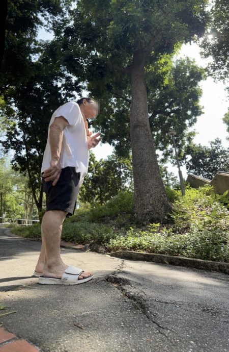 （已簽發）柔：獅城二三事：山丘公園疑樹根導致 路面凸起現裂縫 男子晨跑絆倒骨裂