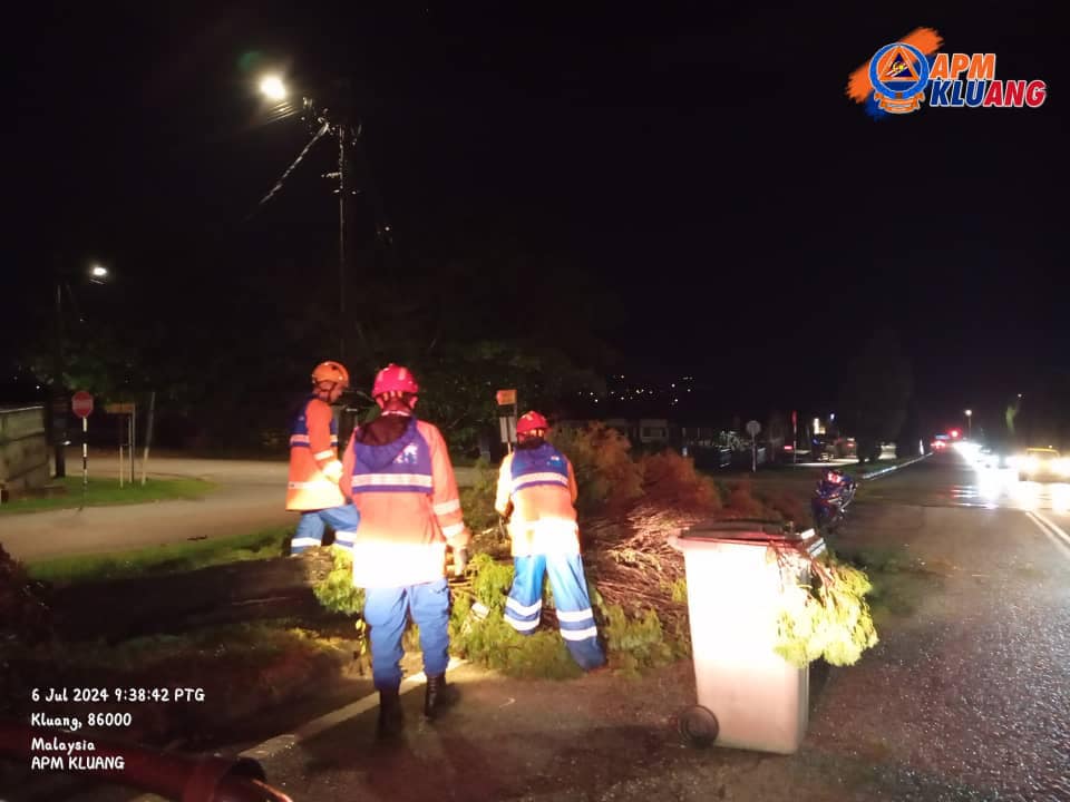 （已簽發）柔：鑾狂風暴雨樹木倒下 2汽車遭樹木砸中