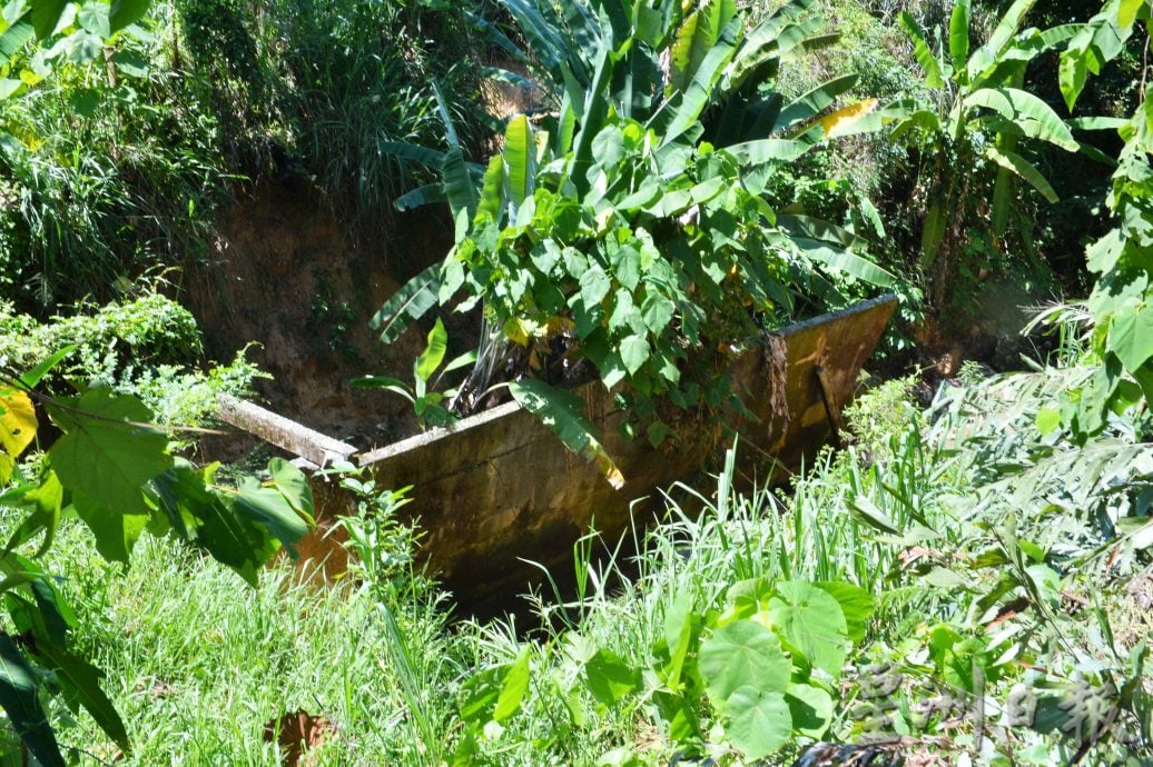 罗白频水灾肇因   农业过度开发
