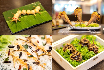 Singapore approves 16 insect species for food; companies to offer new dishes and products