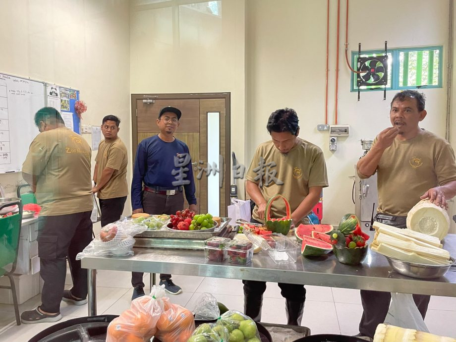 【熊貓生日】興興靚靚動物園辦生日會 用原名創作兩幅七字對聯