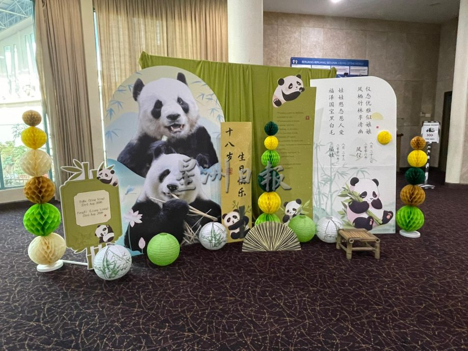 【熊貓生日】興興靚靚動物園辦生日會 用原名創作兩幅七字對聯