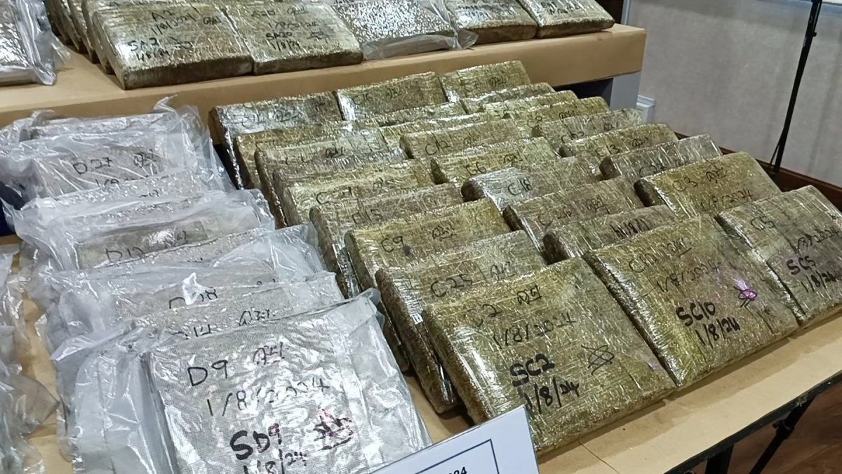 东：彭警方起百公斤大麻