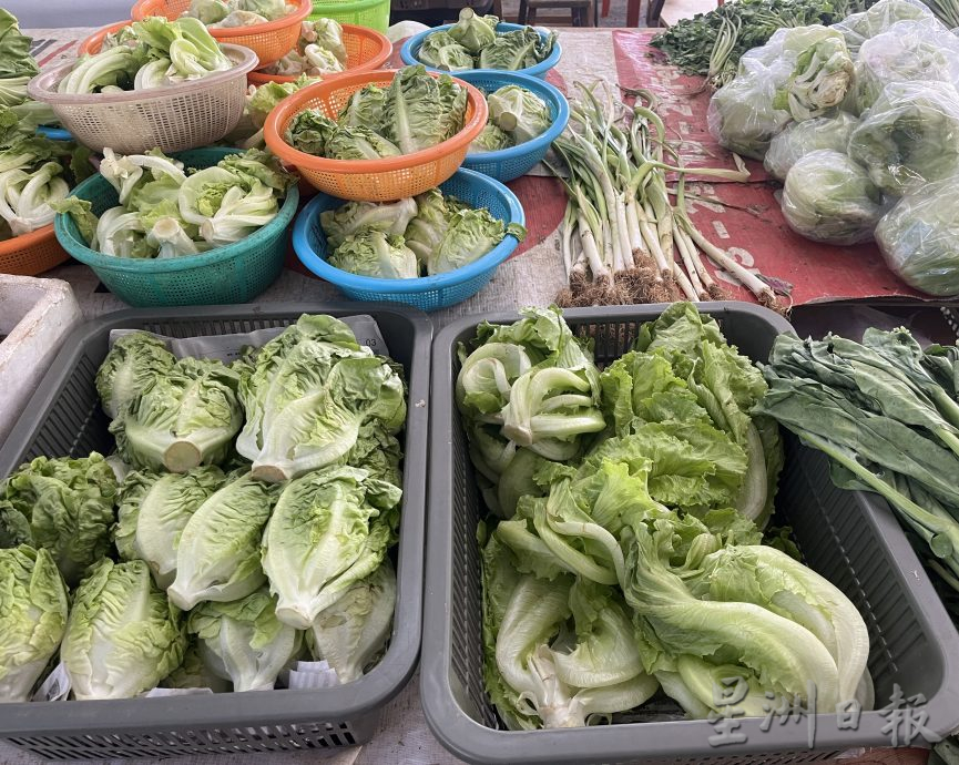 中泰部分进口菜价飙涨 番茄包菜瓜类生菜王便宜