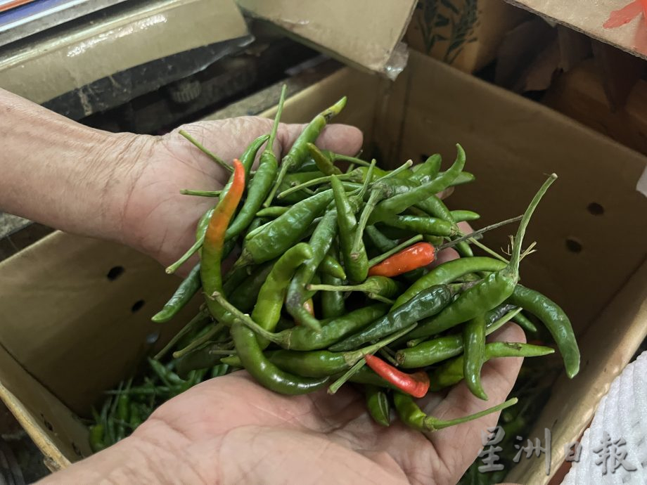 中泰部分進口菜價飆漲 番茄包菜瓜類生菜王便宜