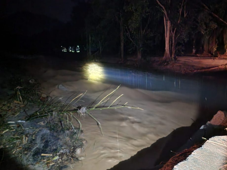 仕林河洪水致橋斷  19人生態公園露營受困