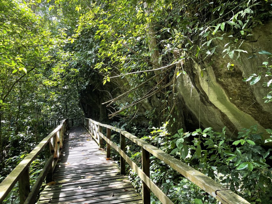 发现砂拉越：北砂自驾旅游