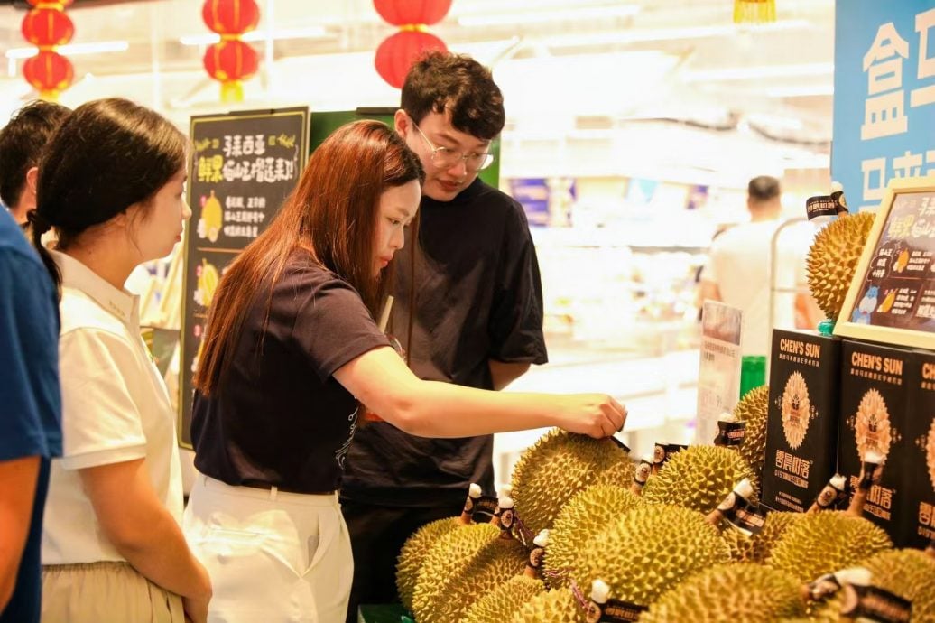 大馬榴槤出口中國價格漲2倍