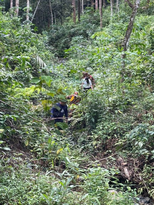 女子獨自登山時迷路 成功被消拯員救出