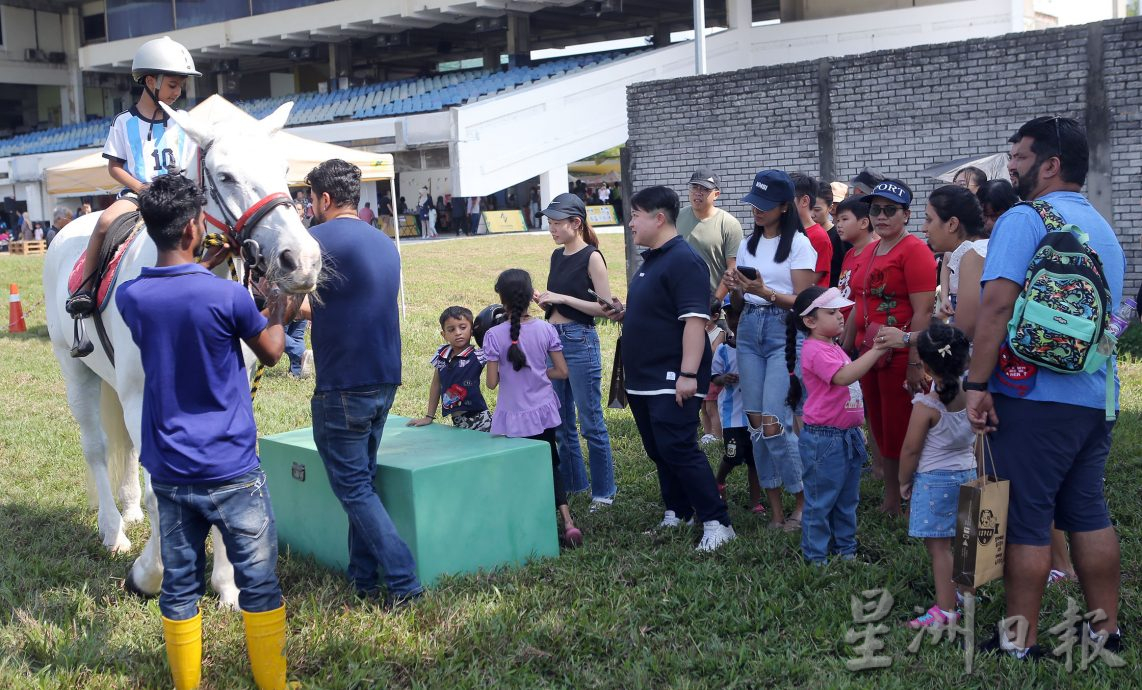 崔慈恩：大众携手成就领养醒觉活动 可减少流浪动物问题