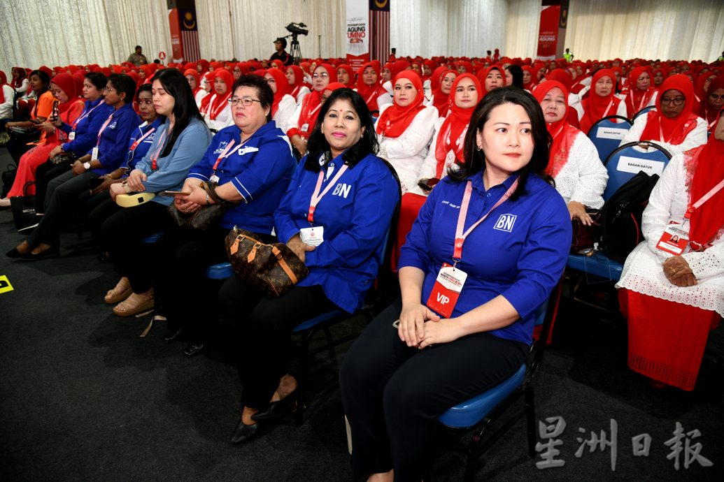 巫统妇女组/诺莱妮：促政府重新考虑经济发展方针、极端种族言论损害社会结构