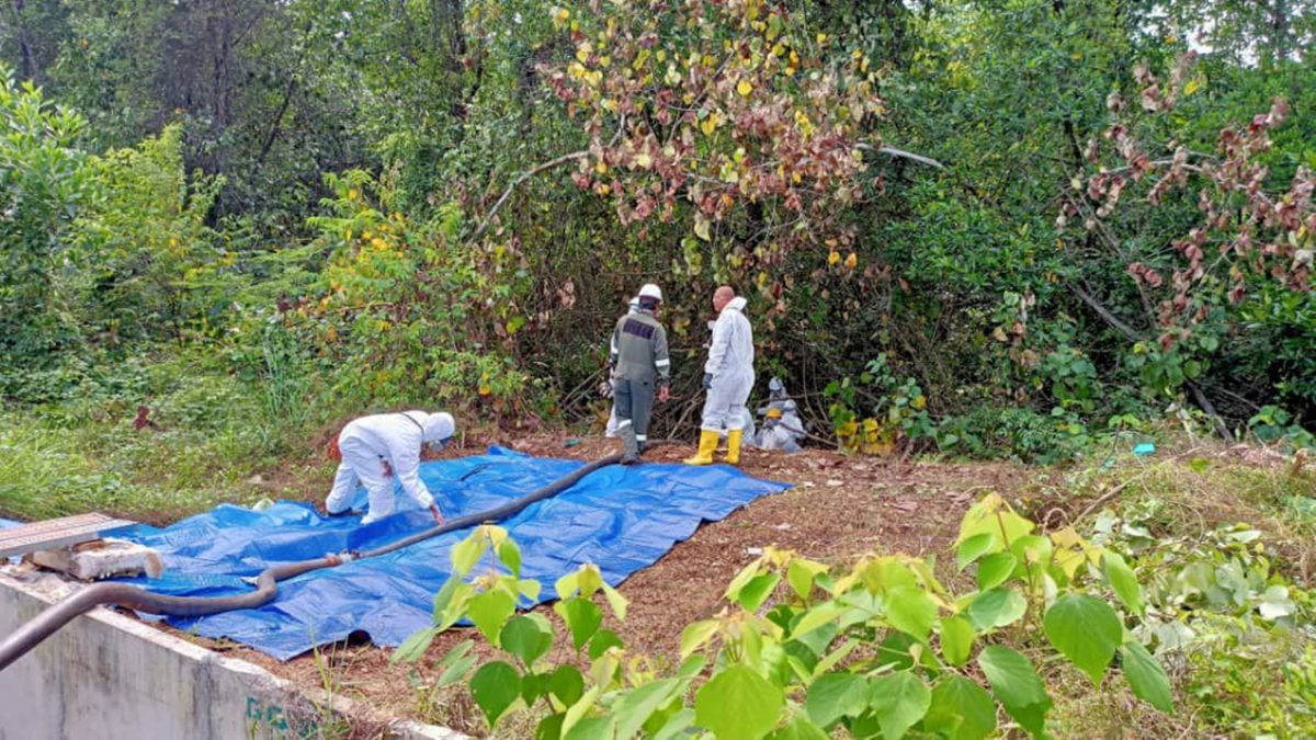 彭环境局：巴洛河污染飘恶臭，源头自非法垃圾处置场及油污。