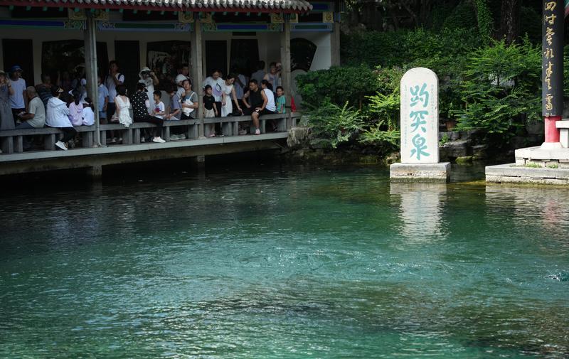 暴雨“供水”黄果树瀑布磅礡 山东趵突泉复涌