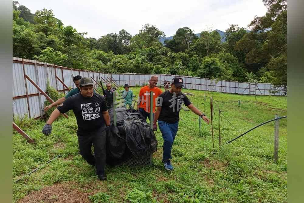 森野生動物保護及國家公園局 去年至今捕獲17只黑豹