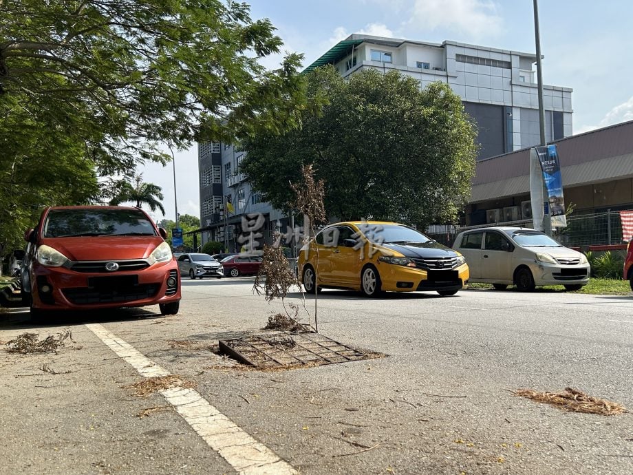 电缆小偷再现 市议员吁民众充当线眼