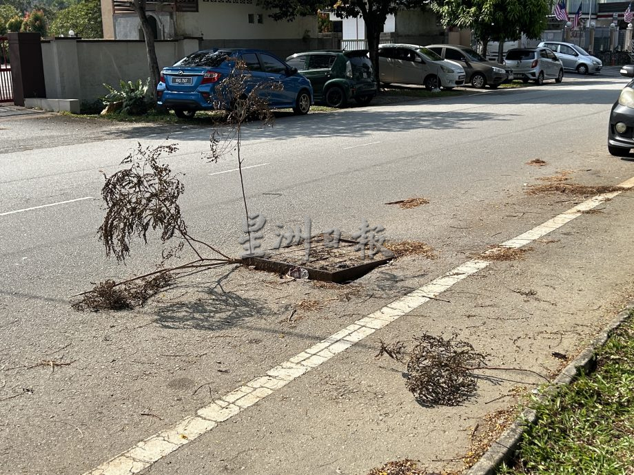 电缆小偷再现 市议员吁民众充当线眼