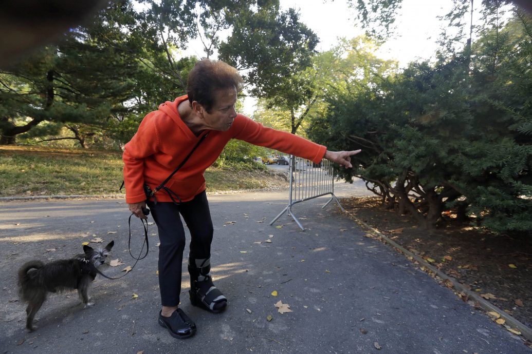 看世界 抢在媒体报道前自白？小罗伯特．肯尼迪认曾将幼熊尸弃公园