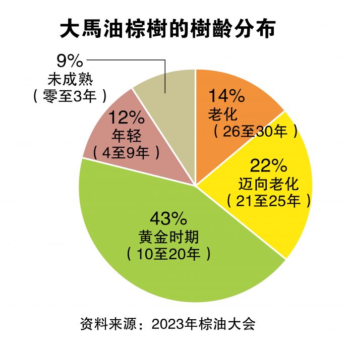 逆风围绕  获利趋跌  棕油业需多元化业务 