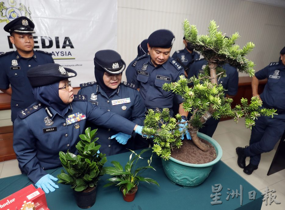 鋁箔紙牛仔褲雙重掩蓋 毒包裹瞞不過掃描儀