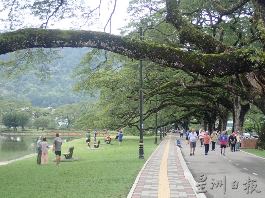 雨季来临太平湖水位上升收复失地